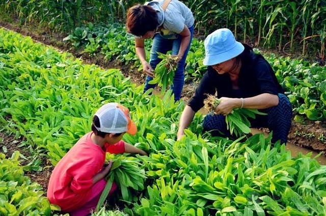 培养健康宝宝，必学的“食育”常识！