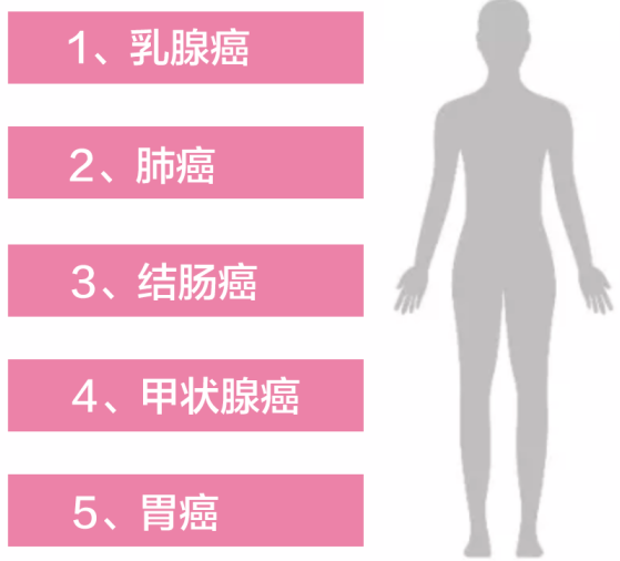 女性对自己健康的了解不足5%？知道这些才能做健康女王